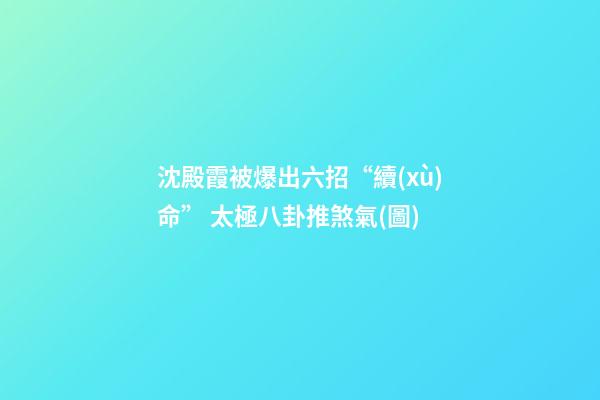沈殿霞被爆出六招“續(xù)命” 太極八卦推煞氣(圖)